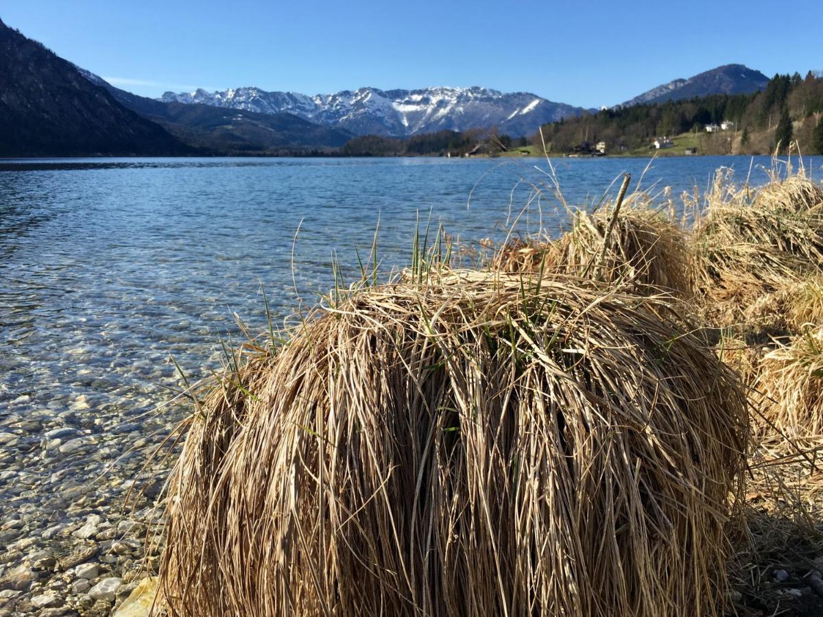 Landhaus Hallstaettersee Bad Goisern Kültér fotó